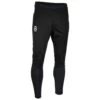 Daehlie Pants Coverage - Running Tights